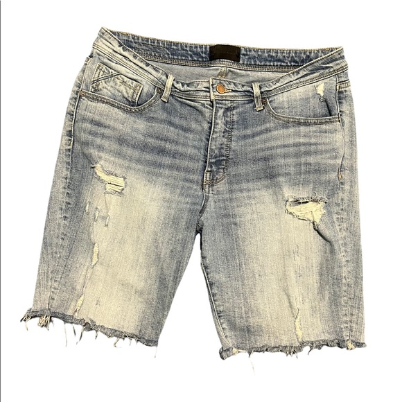 Buckle Other - MENS BUCKLE BLACK DENIM SHORTS
